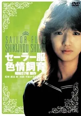 半城烟雨 年代爱情电影免费观看